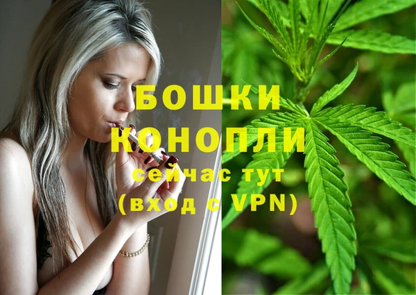 spice Беломорск