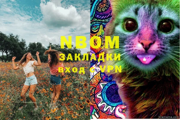 spice Беломорск