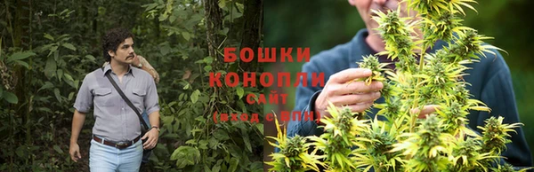 кокаин премиум Белокуриха