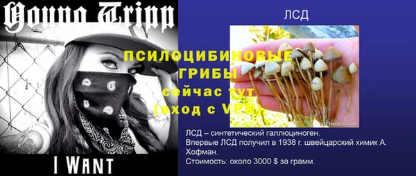 spice Беломорск